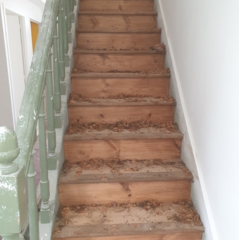 RENNES PARQUET Renovation Parquet Bruz 1906 1 1